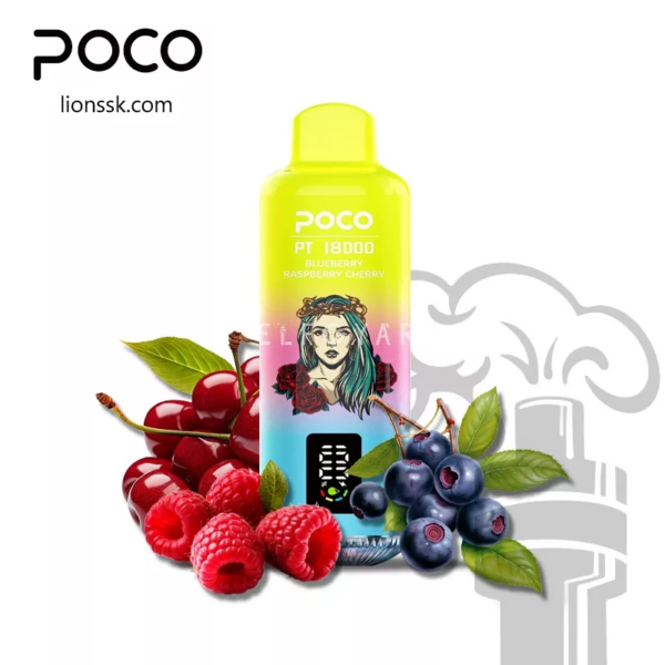 POCO PT 18000 - Image 4