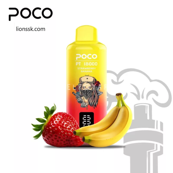 POCO PT 18000 - Image 10